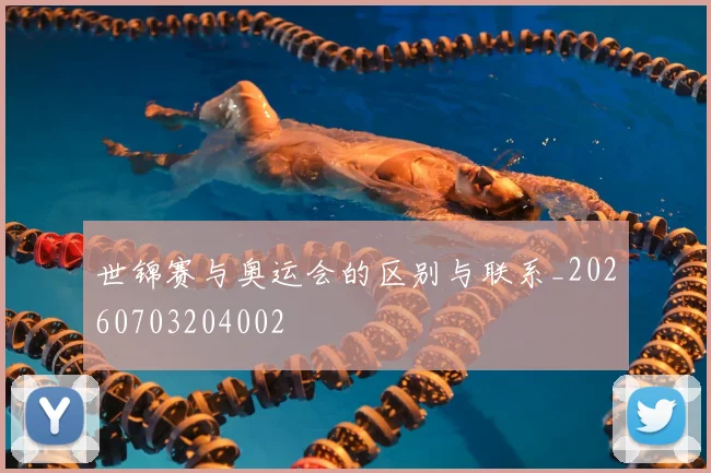 世锦赛与奥运会的区别与联系_20260703204002