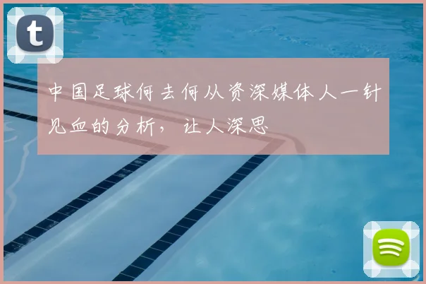中国足球何去何从资深媒体人一针见血的分析，让人深思