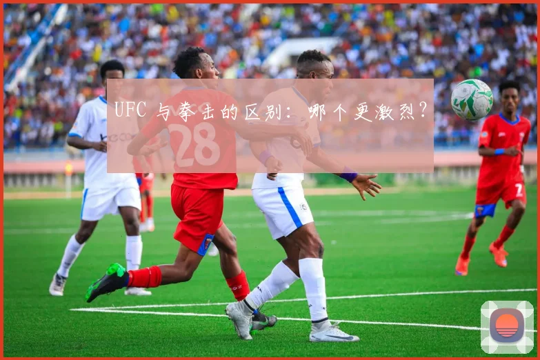 UFC 与拳击的区别:哪个更激烈?
