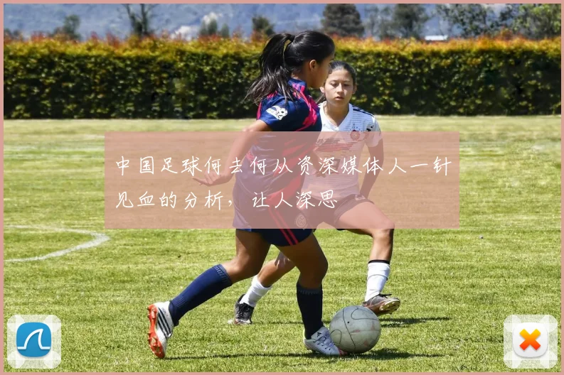 中国足球何去何从资深媒体人一针见血的分析,让人深思